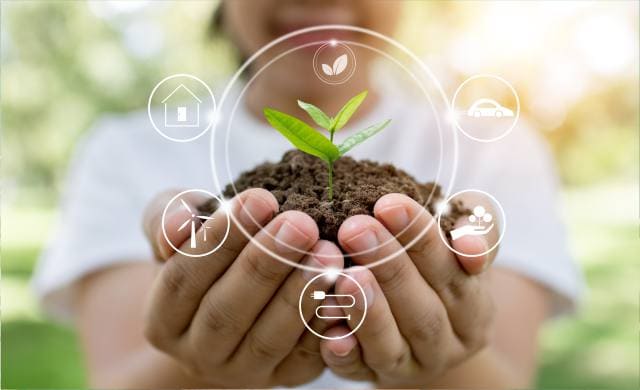 O que &eacute; Biodegrada&ccedil;&atilde;o?